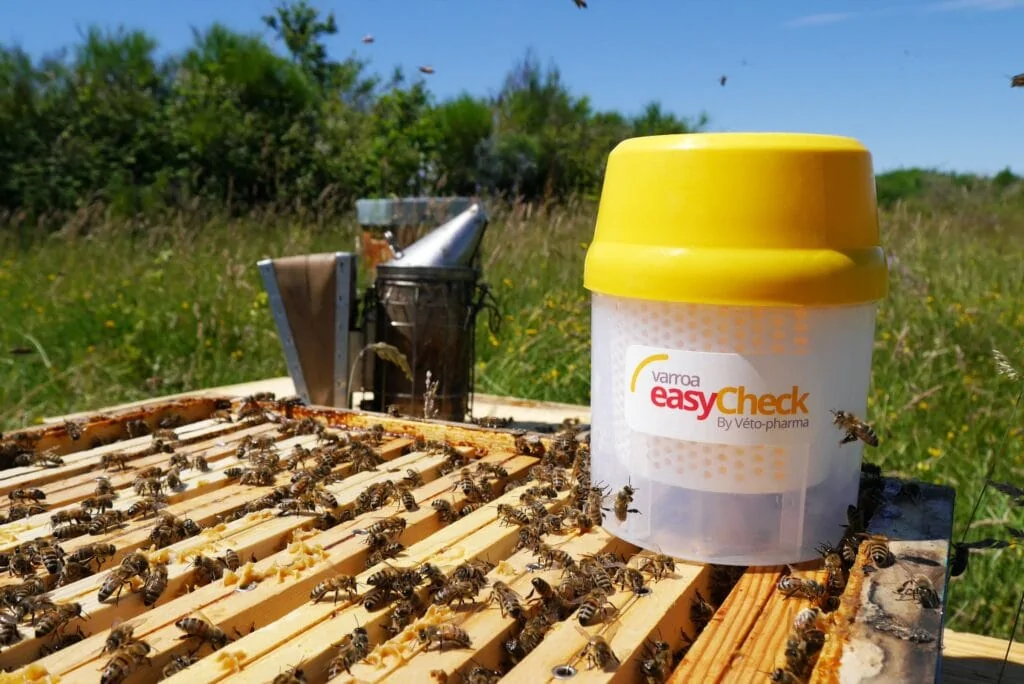 2882V Varroa EasyCheck HAUPTBILD