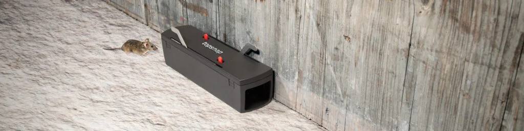 topsnap@2x