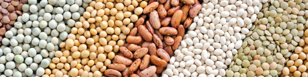 Seed treatment 1