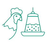 streamline icon chicken eating